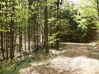 Wanderwege Bayerischer Wald