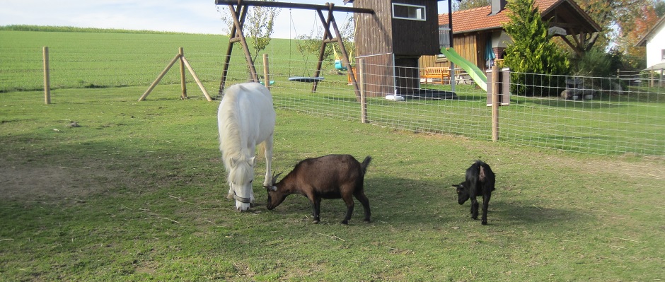 Ferien am Bauernhof