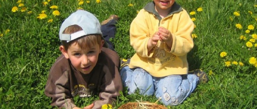 gschwandnerhof-kinderbauernhof-bayerischer-wald-eier sammeln