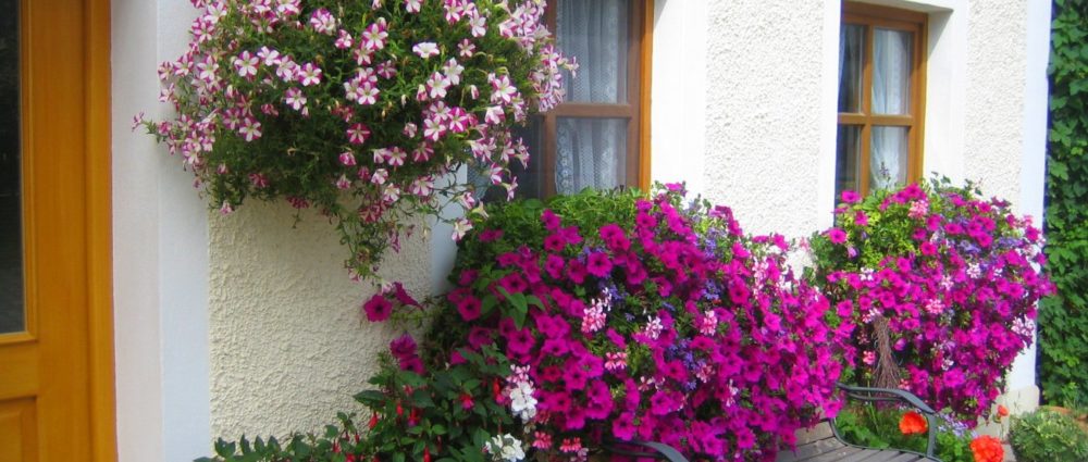 ferienhaus-online buchen-bayern-bauernhofurlaub-blumen-ferienhaus