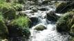 wandern-wo-der-wildbach-rauscht