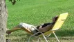 erholen-relaxen-bauernhof-urlaub