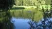 gschwandnerhof-sommerurlaub-bayerischer-wald-see-bootfahren