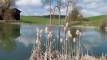 Teich-gschwandnerhof-wanderweg
