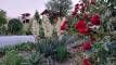 gschwandnerhof-urlaub-Garten