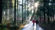 bayerischer-wald-wandern